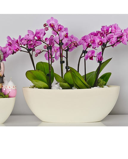 Ghiveci plastic owal 21cm crem