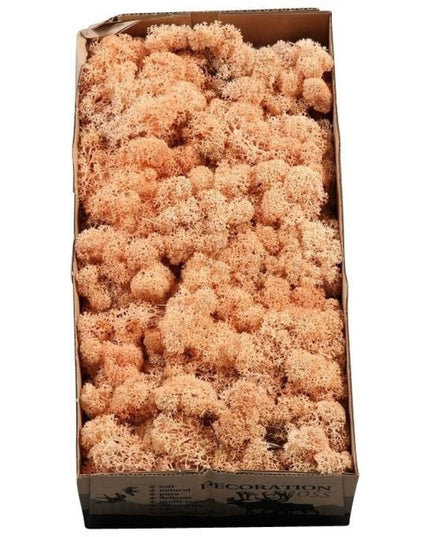 Licheni conservati Peach 500G