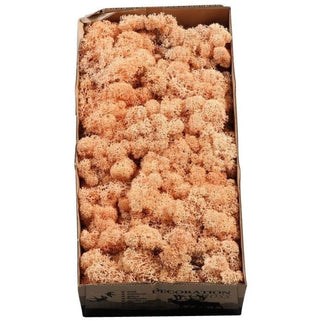 Licheni conservati Peach 500G