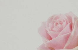 Eticheta mesaj S/50 trandafir roz