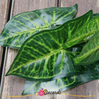 Frunze artificiale Syngonium