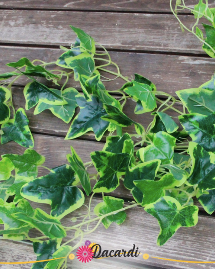 Verdeata artificiala Hedera verde-alb (100cm)