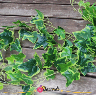 Verdeata artificiala Hedera verde-alb (100cm)