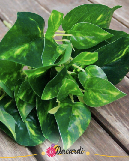 Frunze artificiale Epipremnum mici