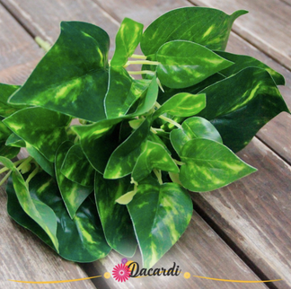 Frunze artificiale Epipremnum mici