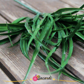 Frunze artificiale Nolina