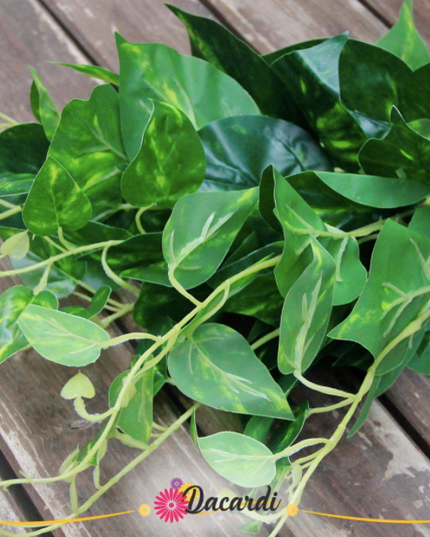 Frunze artificiale Epipremnum medii