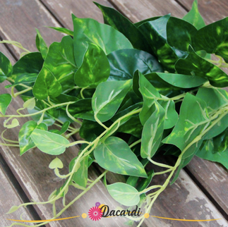 Frunze artificiale Epipremnum medii