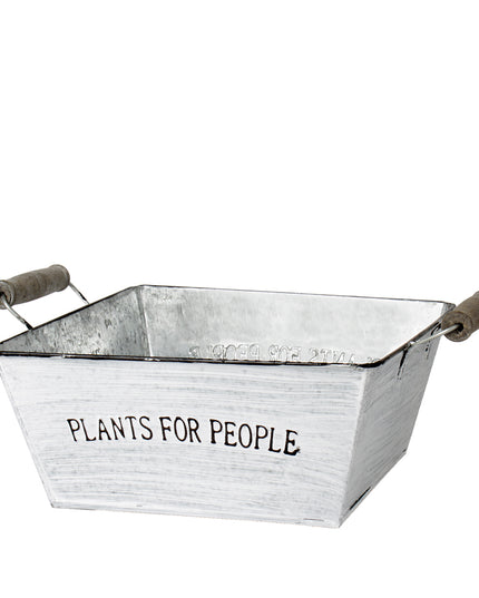 Bol zinc Ø22x9cm plants for people