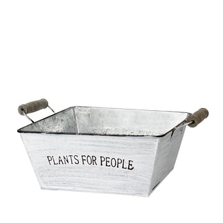 Bol zinc Ø22x9cm plants for people