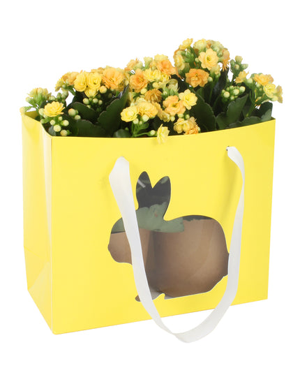 Punga 24X11X20CM bunny