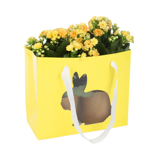 Punga 24X11X20CM bunny