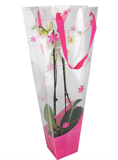 Punga orhidee 12x11x70cm roz