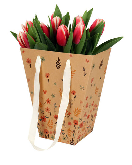 Plasa carton cu maner 24/12x11xH26cm spring