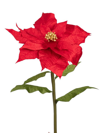 Flori gigant Poinsettia / Craciunita  55x135cm