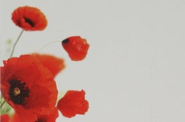 Eticheta mesaj S/50 maci