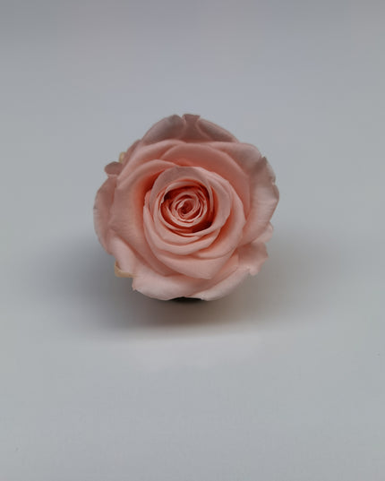 Trandafir criogenat Ø5.5-6cm porcelain