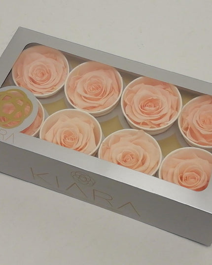 Trandafir criogenat Ø5.5-6cm porcelain pink