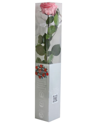 TRANDAFIR CRIOGENAT TIJA 55CM Ø6.5-8.5CM GIFTBOX ROZ DESCHIS