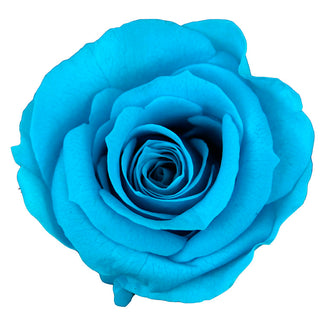 Trandafir criogenat tija 27cm Ø3.5-4.5cm turquoise