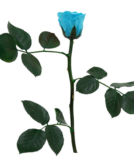 Trandafir criogenat tija 27cm Ø3.5-4.5cm turquoise