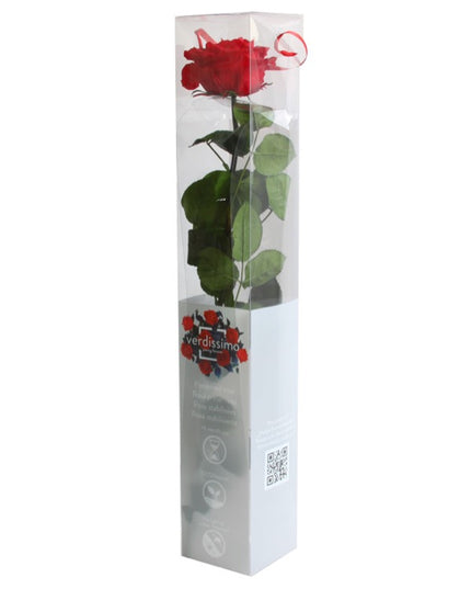 TRANDAFIR CRIOGENAT TIJA 55CM Ø6.5-8.5CM GIFTBOX ROSU
