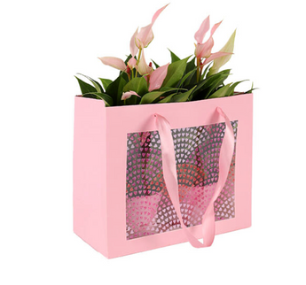 Punga carton 24x11xH20cm happy hearts