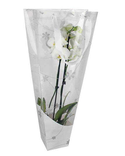 Punga orhidee 12x11x70CM alb