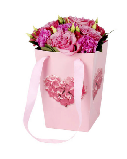 Punga carton 24x11xH20cm verena