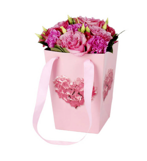 Punga carton 24x11xH20cm verena