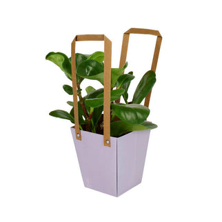 Plasa carton cu maner 13x9,5xH15cm mov