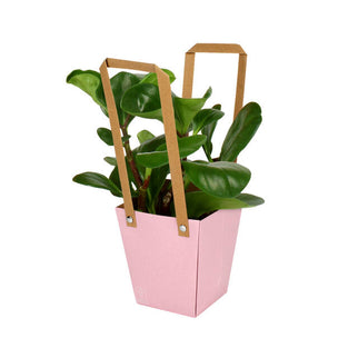 Plasa carton cu maner 13x9,5xH15cm roz