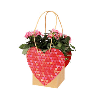 Plasa carton cu maner 12,5x12,5x12,5cm inima