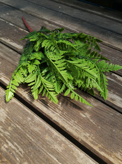 Frunze artificiale Leatherfern verde deschis