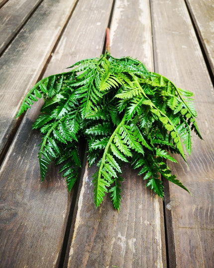 Frunze artificiale Leatherfern verde inchis