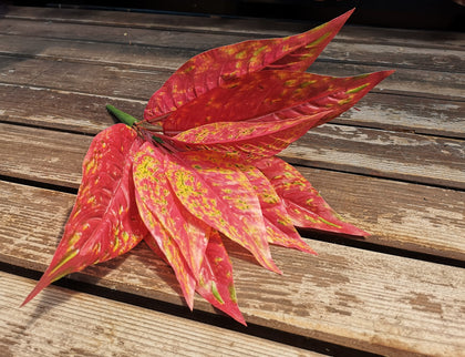 Frunze artificiale Aglaonema rosie