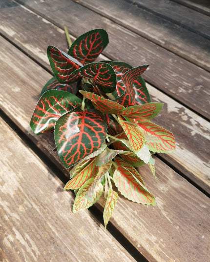 Frunze artificiale Fittonia