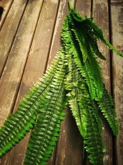 Frunze artificiale Feriga - Nephrolepis lungi (88cm)