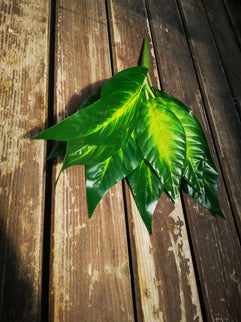 Frunze artificiale Dieffenbachia