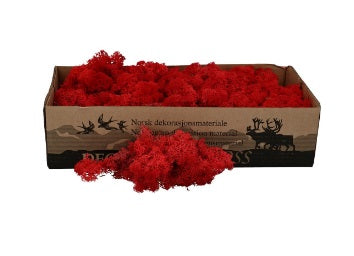 Licheni conservati rood 500G