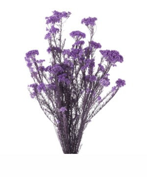 Floare de orez criogenata