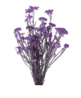 Floare de orez criogenata