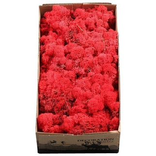 Licheni conservati rood 500G