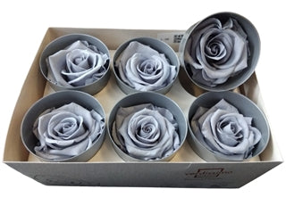 Trandafir criogenat 5.5-6cm silky grey