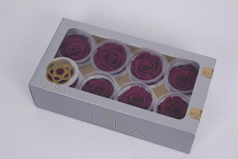 Trandafir criogenat Ø5.5-6CM velvet plum