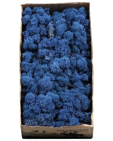 Licheni conservati Royal blue 500G