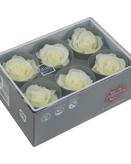 Trandafir criogenat Ø6cm vanilie