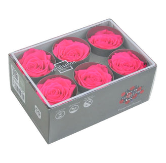 Trandafir criogenat Ø5.5-6cm roz intens