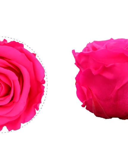 Trandafir criogenat Ø5.5-6cm roz intens