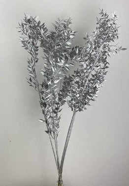 Ruscus criogenat argintiu